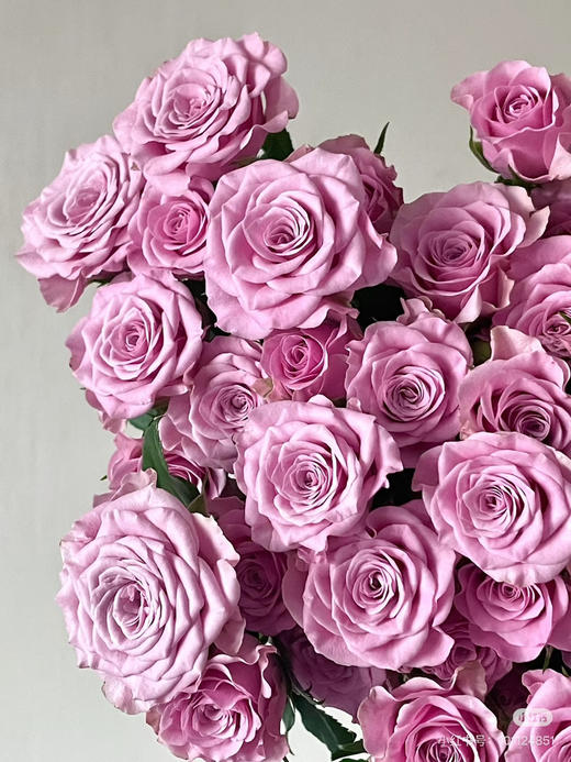 【2026.4.3】特价：5枝A级多头玫瑰19.9～29.9（现货 下单即可到店自提） 商品图7