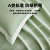 A类可水洗凉豆豆软凉席三件套(绿色) 商品缩略图3
