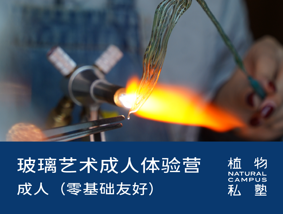 早鸟价！2026夏令营·玻璃艺术成人体验营