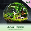 【4月儿童手作课堂】小小春日造景师 微景观DIY报名 商品缩略图0
