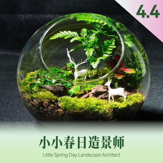 【4月儿童手作课堂】小小春日造景师 微景观DIY报名 商品图0