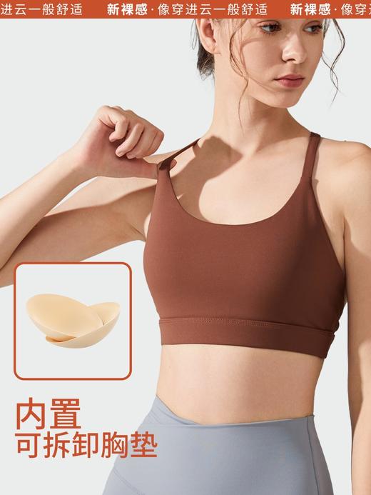 运动内衣女高强度防震防下垂瑜伽背心外穿聚拢速干美背款健身文胸 000JLYW249 商品图1