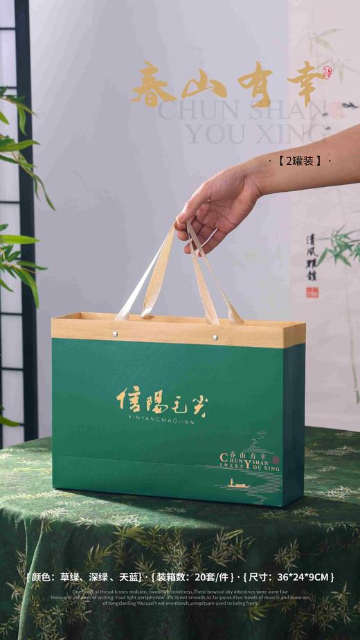 23元/套【春山有幸半斤毛尖.墨绿】一箱20套/一箱460元/整箱包邮 商品图1