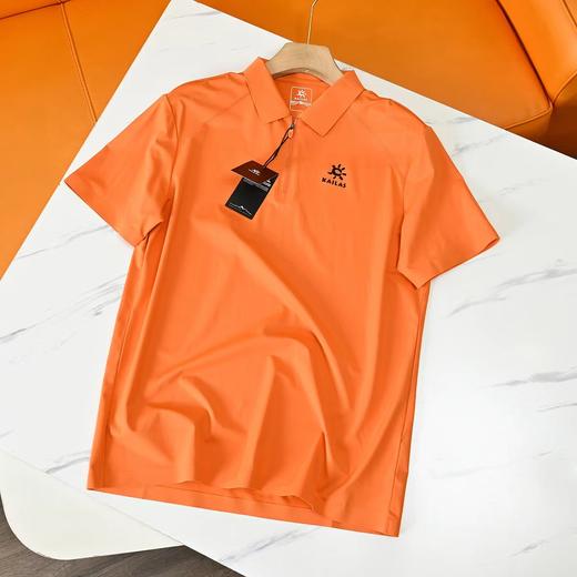 F033113夏季新款男士半拉链户外休闲冰爽速干无痕弹力短袖POLO衫 商品图4