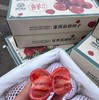 【满150元全疆包邮】高糖番茄 （1.2kg） 商品缩略图0