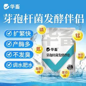华畜芽孢杆菌发酵伴侣水产调水肥水不发臭调水肥水产养殖益生菌