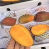 空运~海南树熟贵妃芒：超甜，味很浓。 商品缩略图1