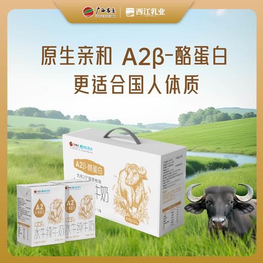 【广西农垦】西江乳业丨A2β酪蛋白水牛纯牛奶  200ml*10盒 商品图2