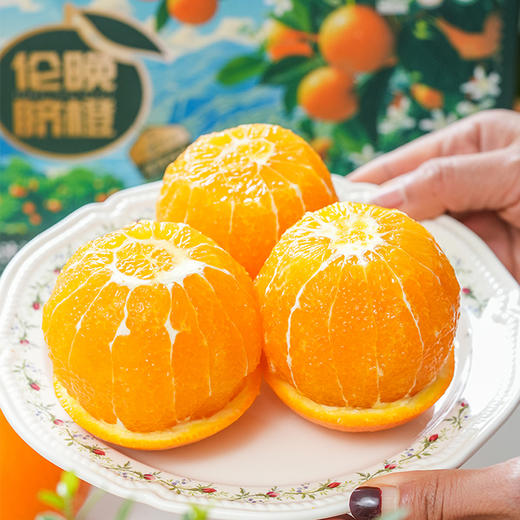 ZN湖北秭归伦晚脐橙4斤精品装（带手提）【分仓直发，72小时内发货，周末及节假日不发货】 商品图1