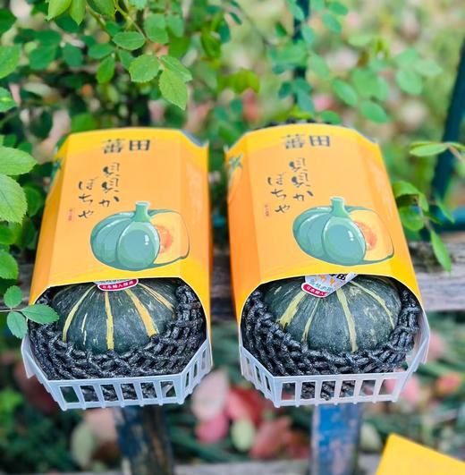 蕃田贝贝南瓜|直接蒸着吃，浓郁南瓜香，香浓板栗味，超粉超糯，吃了一口还想第二口，中饭就它了～ 商品图3