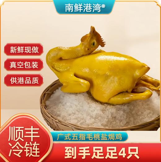 【顺丰冷链发货 到手4只】南鲜港湾 古法秘制盐焗鸡 原味/豉油/五指毛桃 650g/只 商品图4