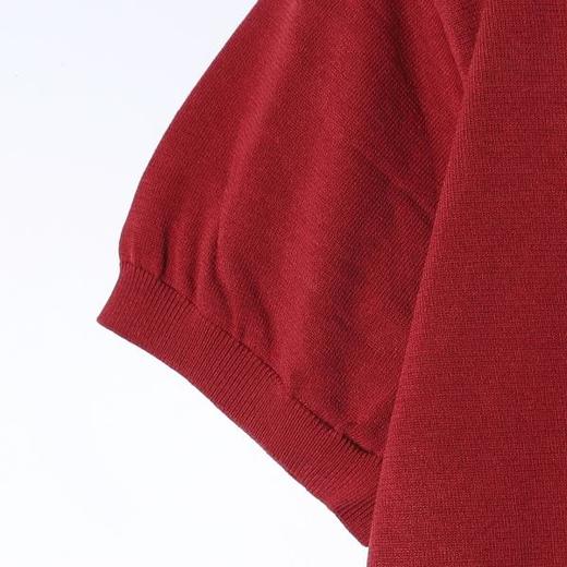 SDSA男装2026新款高贵轻奢老钱风纯色针织圆领短袖T恤百搭时尚 商品图2