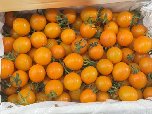 香芒皇后黄番茄（毛重2.2斤左右） 商品图1