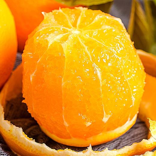 优选丨【湖北秭归▪伦晚帝王橙】伦晚春橙 花果同枝 汁多化渣 橙香味浓郁 老少皆宜 商品图6