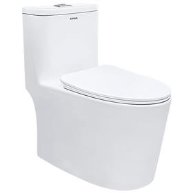 KZB508-01坐便器