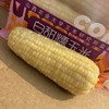 山西农科院～甜糯玉米【1袋6根】新鲜口感，糯而香甜，老玉米的香+黏玉米的糯，带淡淡的甜，好吃！ 商品缩略图4