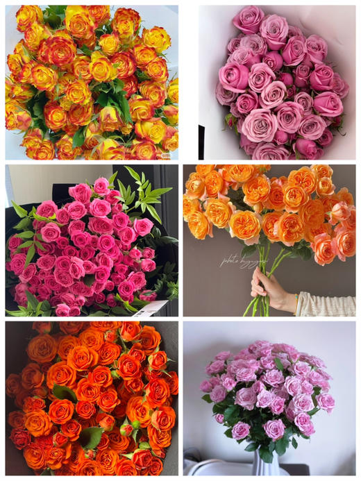 【2026.4.3】特价：5枝A级多头玫瑰19.9～29.9（现货 下单即可到店自提） 商品图0