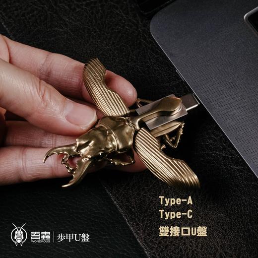 吾蟲- 甲虫U盘 Type-c 3.0 128G金属外壳 挂件存储盘 创意个性礼物【官方授权】【48小时发货】 商品图3