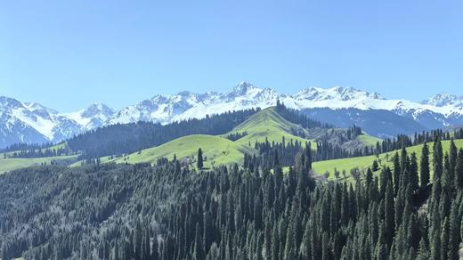 户外@2-6人【全景北疆】阿勒泰+喀纳斯+禾木+赛湖+那拉提+霍尔果斯+独库公路+孟克特11天 商品图5