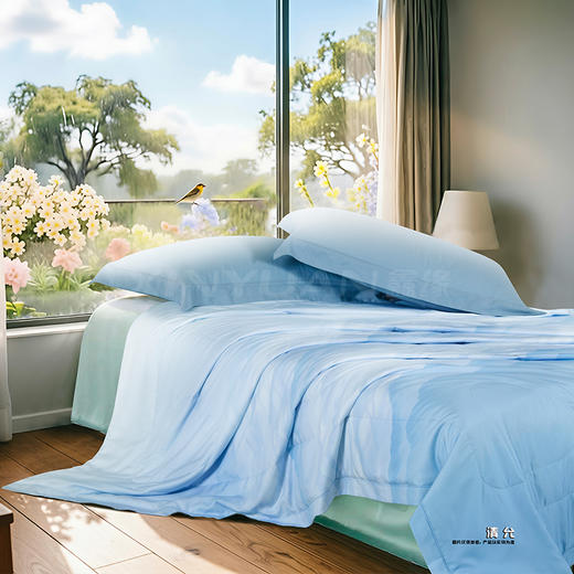 鑫缘 舒爽可水洗纯桑蚕丝被 AEPE0320 商品图8