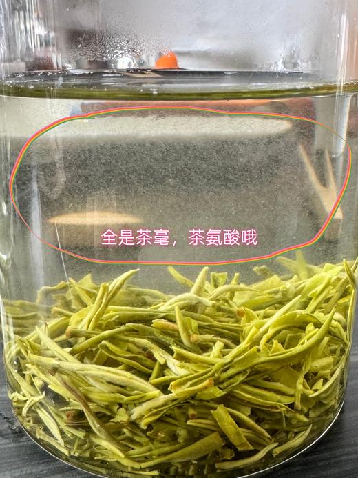 2026年新茶巫溪秀芽明前特级秀芽(一芽一叶） 商品图3