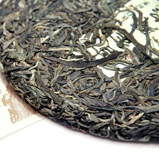 【天月古树茶】2016年百年臻品古树普洱茶生饼 357g 商品图1