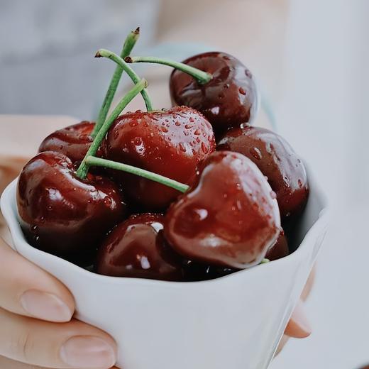 早春大樱桃 商品图10