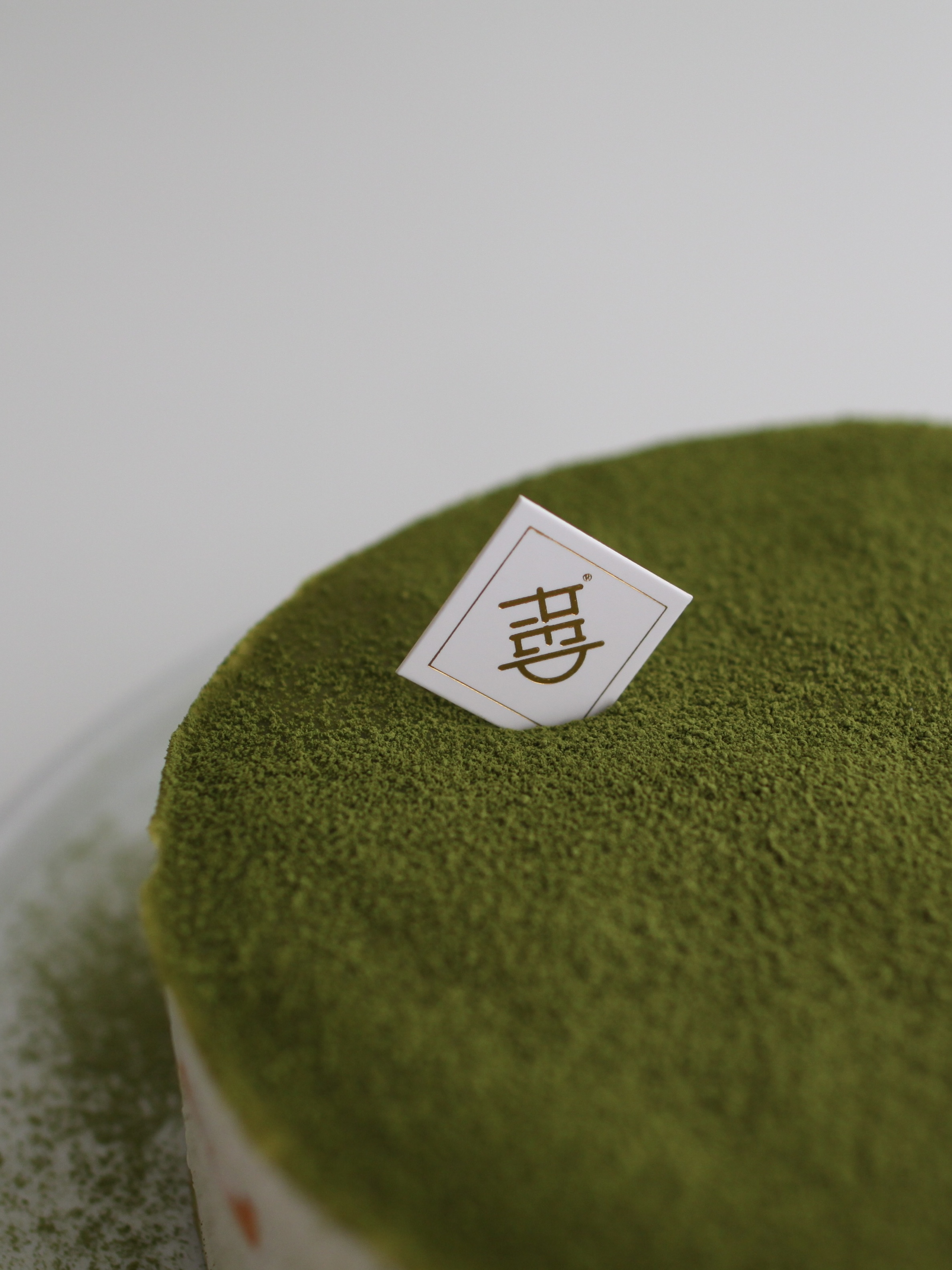 上春山 Spring Hike