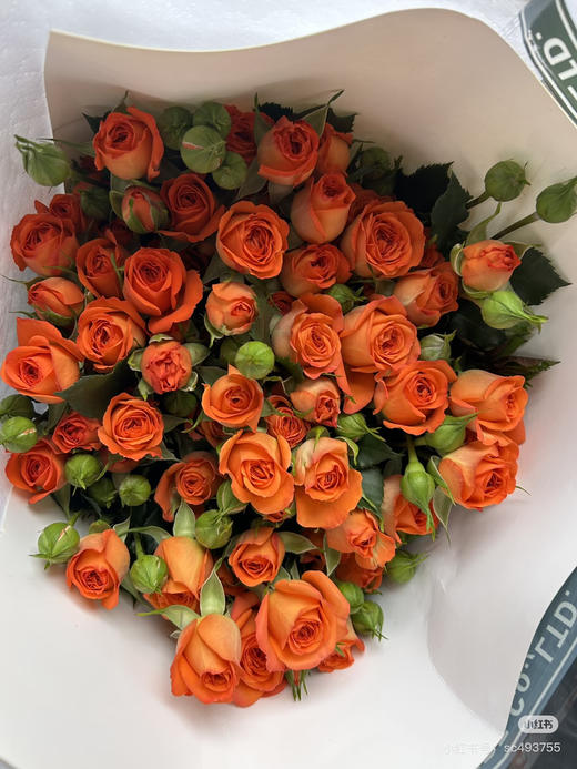 【2026.4.3】特价：5枝A级多头玫瑰19.9～29.9（现货 下单即可到店自提） 商品图1