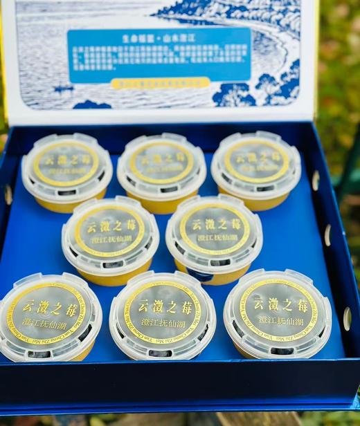 云澂之莓杯蓝莓|大颗粒，吃起来超级过瘾，粒粒脆甜，花香味儿浓郁，唇齿留香，闭眼入~ 商品图1