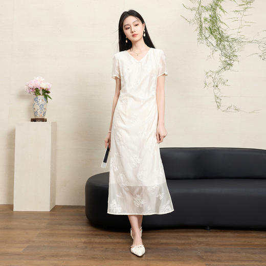 【月明清辉】三彩2026夏季新款新中式连衣裙绣花A字裙长裙C 商品图1