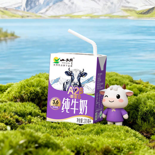 【新品上市】小西牛高原牧场A2β- 酪蛋白纯牛奶3.6g蛋白纯牛奶 200ml*10盒 商品图6