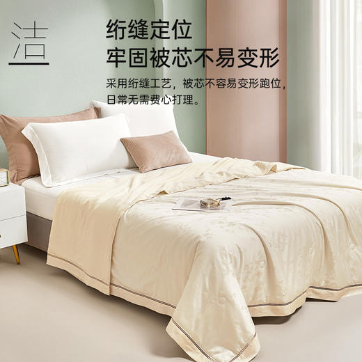 蚕蛹蛋白天丝夏被(金色) 商品图4