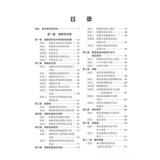 医学微生物学实验 第3三版 赵飞骏 李忠玉 朱翠明 主编 高等院校医学实验教学纸教融合系列教材 本科教材 9787030819994科学出版社 商品图3
