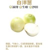 新疆三色洋葱5斤装(白洋葱+紫洋葱+黄洋葱) 商品缩略图4