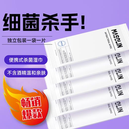 【杀菌不含酒精 玩具身体皆可用】MASOLIN 独立包装 抑菌湿巾 10片装 商品图0
