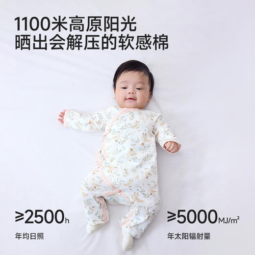 英氏婴儿礼盒新生儿见面礼出生套装送礼10件装宝宝满月礼物四季款 商品图1