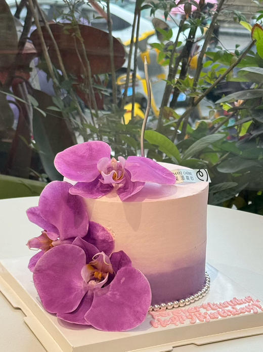 蝴蝶兰 商品图0