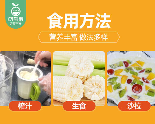 漳州新鲜爆汁牛奶水果玉米（带衣）/1份（4-5根，共1.5kg±100g） 商品图4