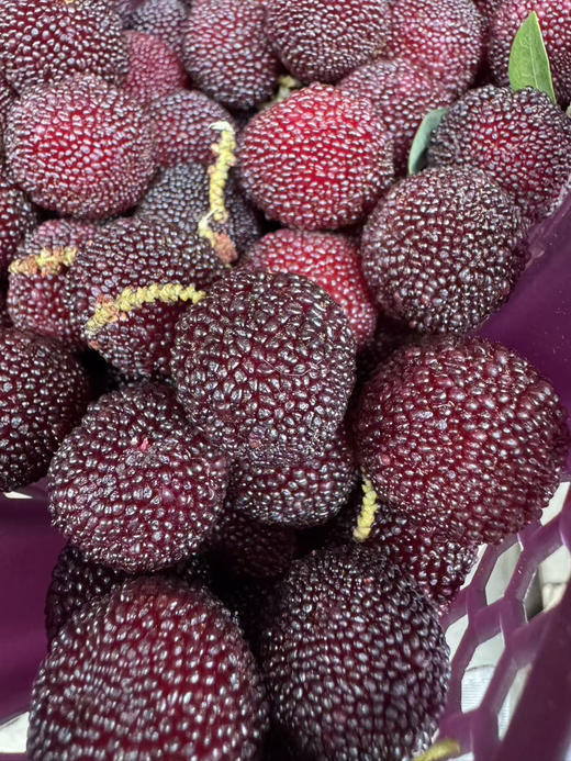 预售，周日配送，云南杨梅没有🐛，第一口鲜！有机春梅*每日空运新鲜少量＃鲜是鲜的嘞～早梅不大的哦！拒绝甜蜜素，九分甜来一分酸，一年一次尝鲜啦！ 商品图2