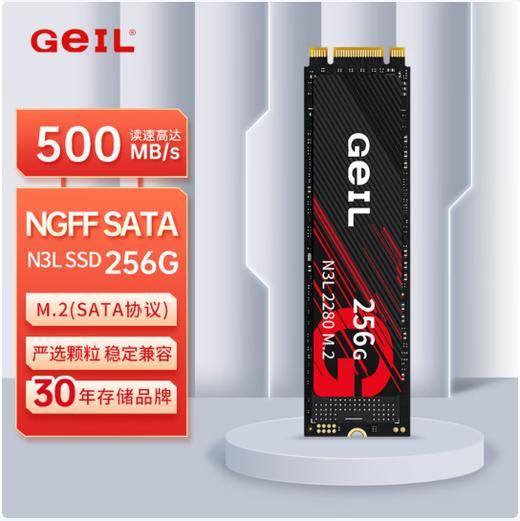 【OUSM】  SSD固态硬盘 M.2适用于台式机笔记本  金邦256G 商品图2