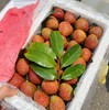 悠乐果品牌海南桂花香荔枝顺丰包邮 商品缩略图1