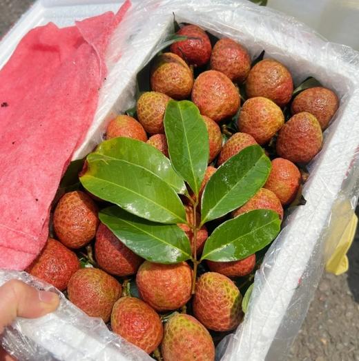 悠乐果品牌海南桂花香荔枝顺丰包邮 商品图1