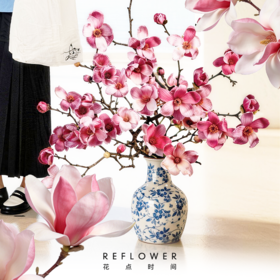 1米高「望春玉兰花」| 2026芍药季