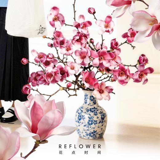 1米高「望春玉兰花」| 2026芍药季 商品图0