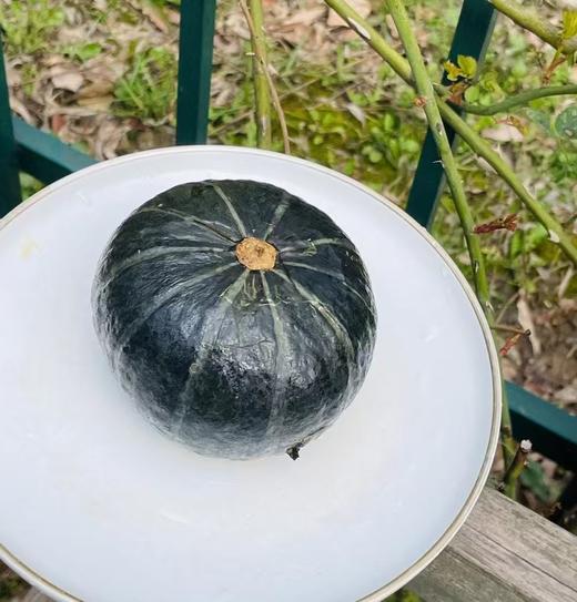 蕃田贝贝南瓜|直接蒸着吃，浓郁南瓜香，香浓板栗味，超粉超糯，吃了一口还想第二口，中饭就它了～ 商品图1