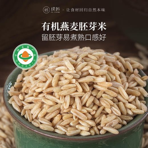 璞匠有机燕麦胚芽米农家新货五谷杂粮粗粮粥脱皮燕麦粒裸去壳新米 商品图0
