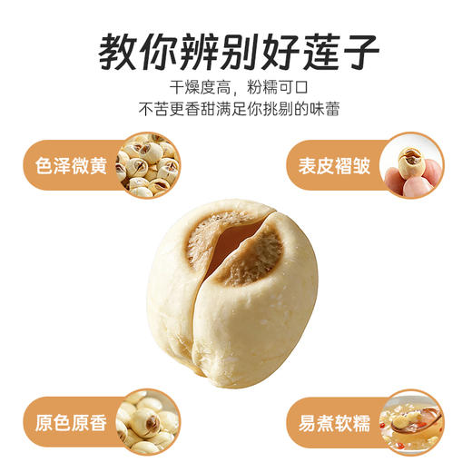 养瑞和丨莲子360g·天然干货·手工通芯农家贡莲 商品图2