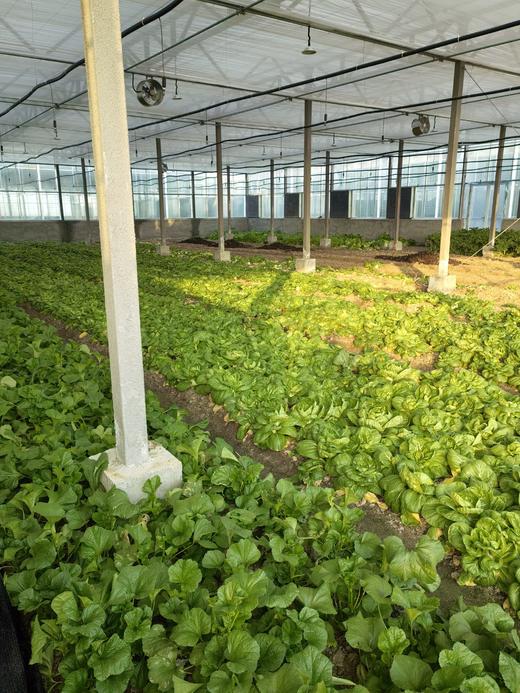 亚海农场家庭计划月卡 商品图4