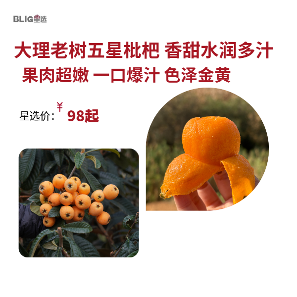 【大理鸡足山老树枇杷】五星枇杷/20多年老树/原生态种植 无膨大剂无催熟剂等等/果味香浓 小时候的味道/现摘现发 顺丰包邮